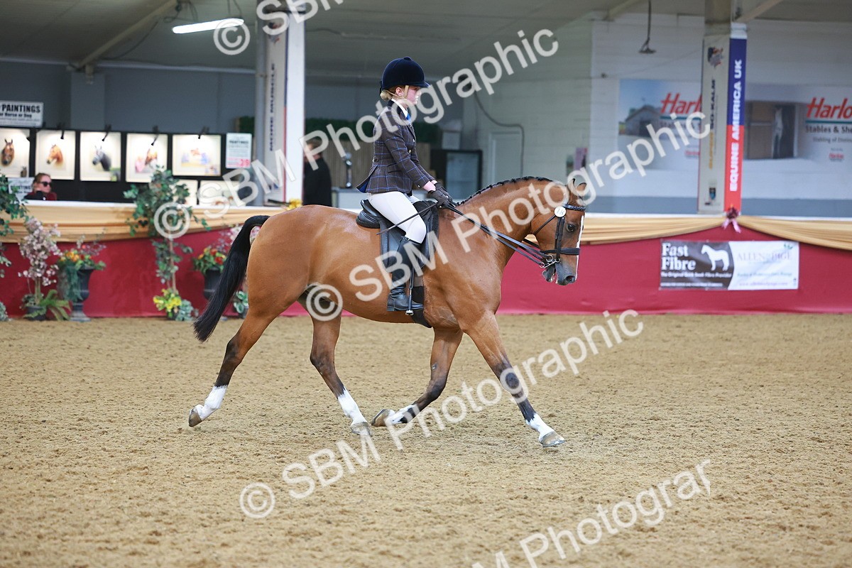SBM_12543 - Class 103 - HOYS Veteran Qualifier - Ridden Pre Vet