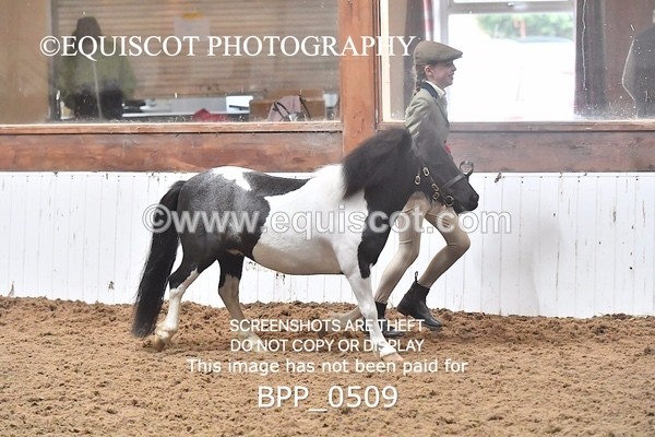 BPP_0509 - RING 1