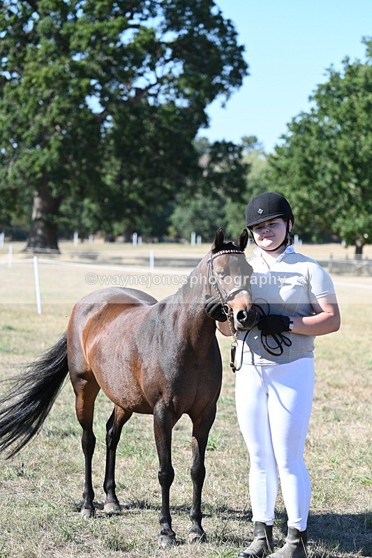 WJ7_2148 - Class 44 Child's Best Friend