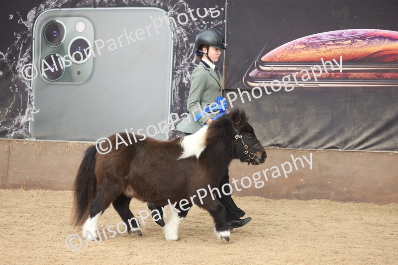 20251109-0424 - Class 15 - Coloureds