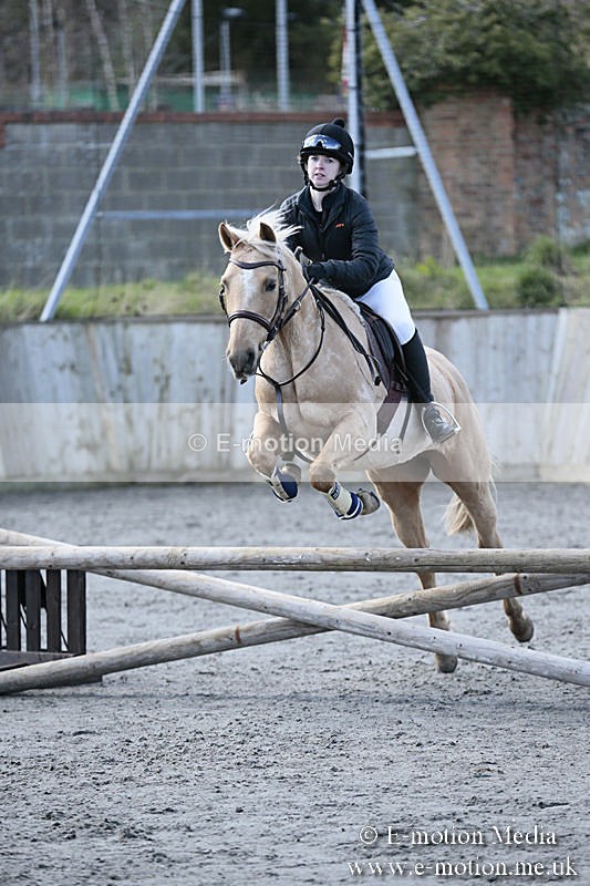 BVRC SJ 170319 256 - Bourne Valley Riding Club Showjumping 17/03/19
