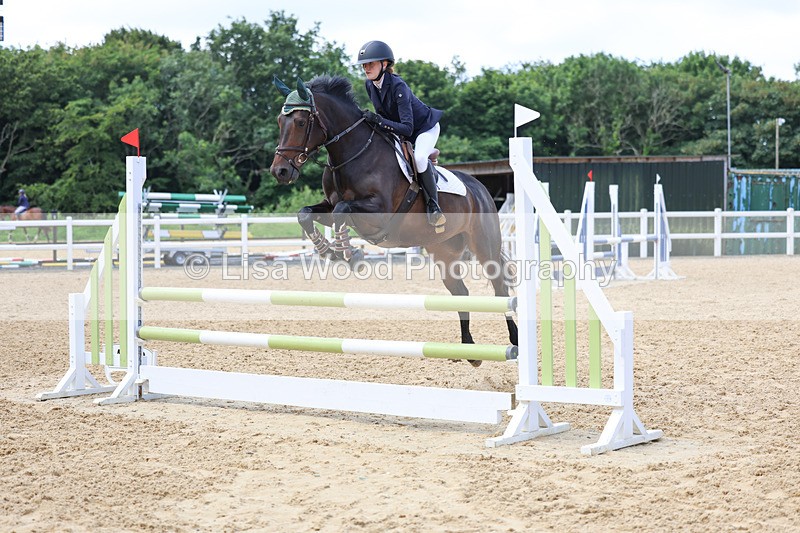 3E7A3101 - Class 4: Senior British Novice/90cm open