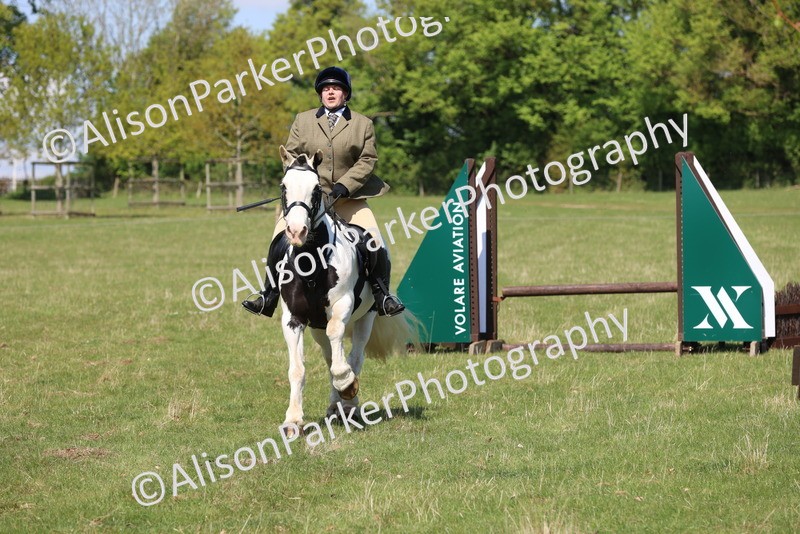 20250427-2578 - Class 20 - Working Hunter Ponies