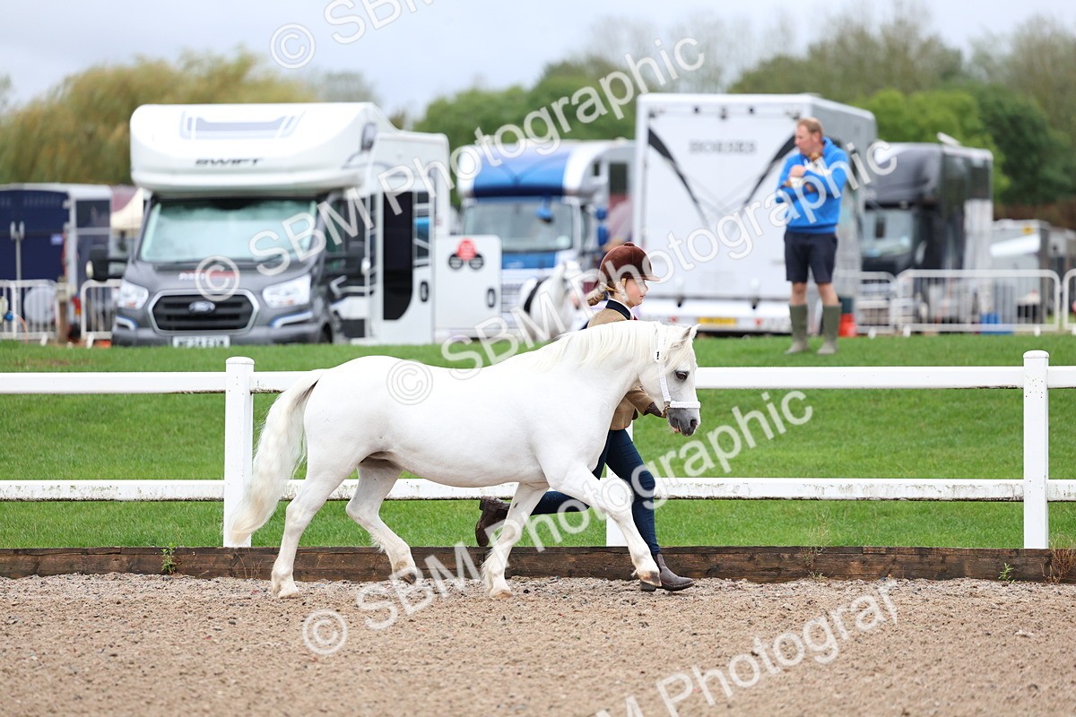 SBM_00227 - Class 13 - Young Handler