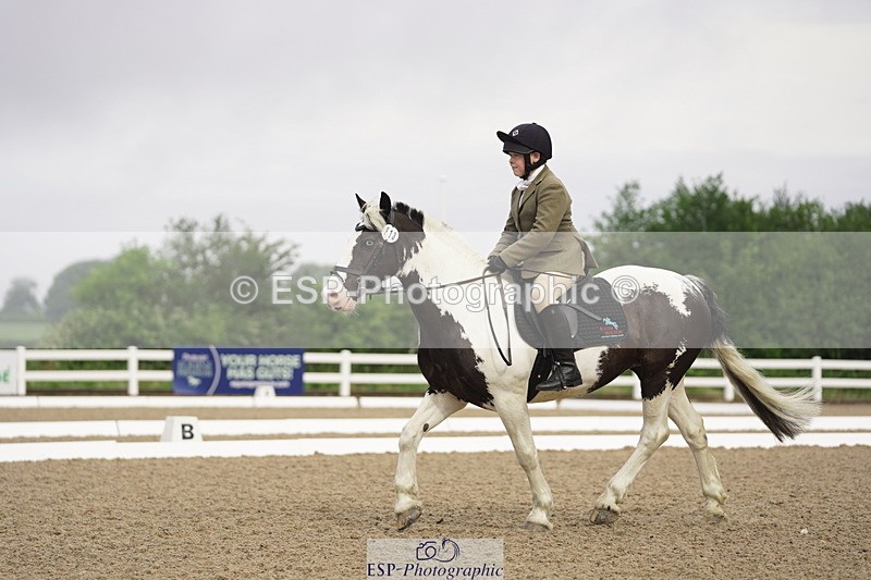 230708A-090120-00008 - Intro C