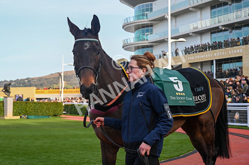 250125-Race 4-LHomme Presse-3366