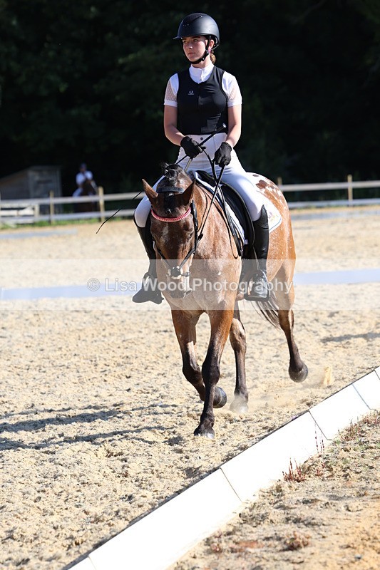 3E7A3621 - Class 2: Intro 1 2024 Section B