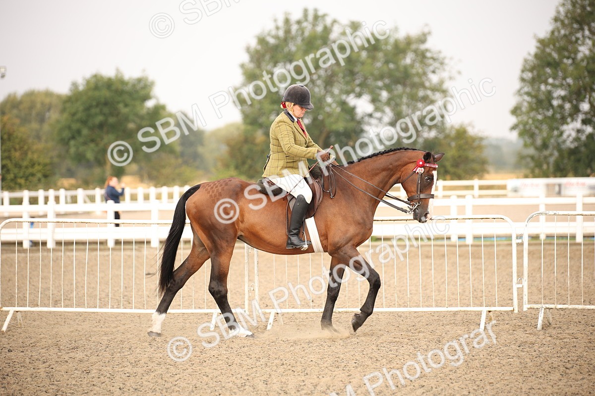 SBM_10189 - Class 402 Riding Club Horse