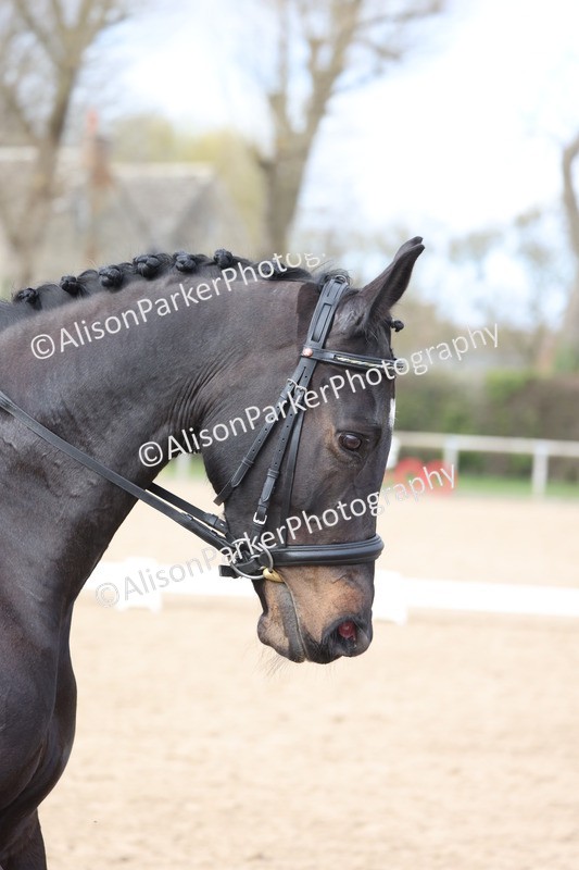 20260301-0823 - Class 5 - Elementary 4