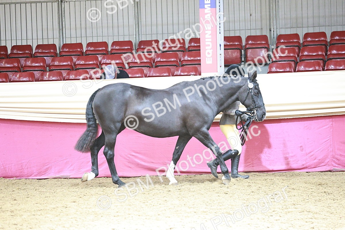 SBM_04715 - Class 7R - Regional IH Diamond