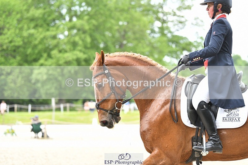 230525-125352-02050 - 112-BILLY_MAPLE-Kitty_King-WEDTrotUp+DR