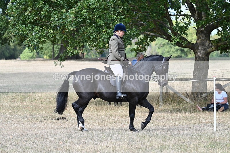 WJ7_6109 - Class 13 Ridden Veterans