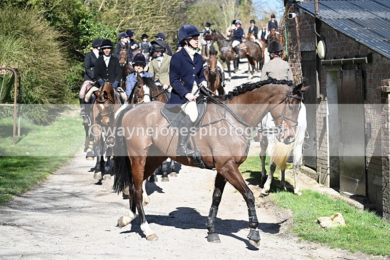 WJ7_9697 - Home for hunt tea !