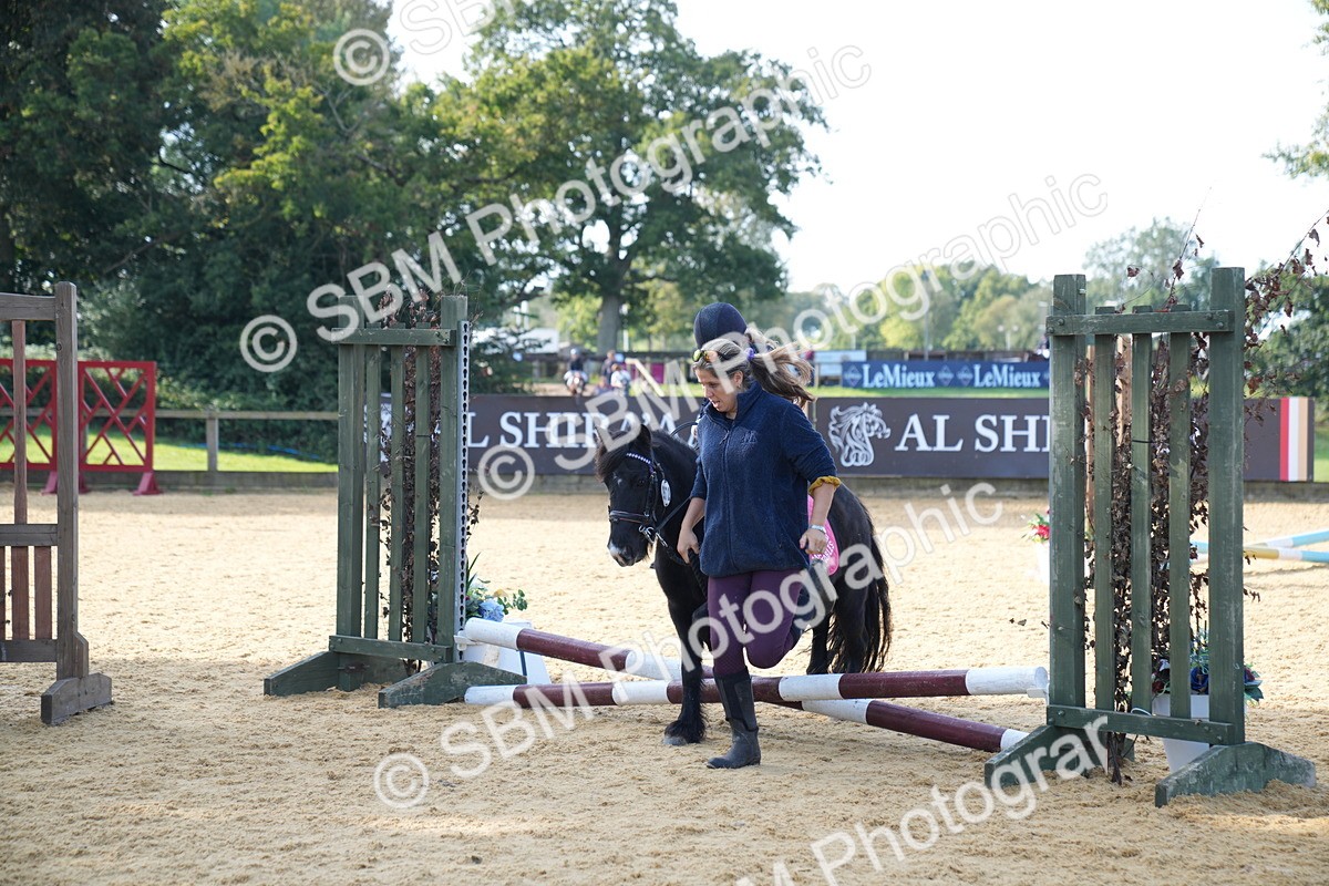 SBM_61456 - J1 - Mini Tour Junior Pony Lead Rein 30cm Championship