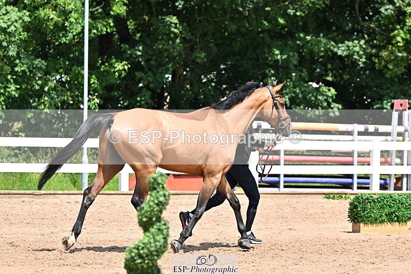 240718A-105311-01678 - Trot Up 1pm to 2pm