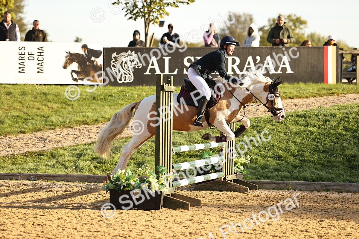 SBM_33041 - J38 - Senior 80cm Championship