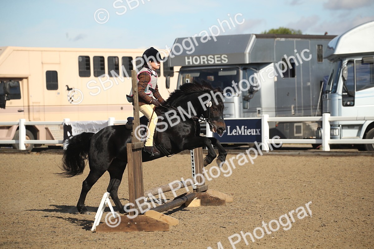 SBM_12693 - Class 504a - Junior Working Veterans - 40cm (15-19)