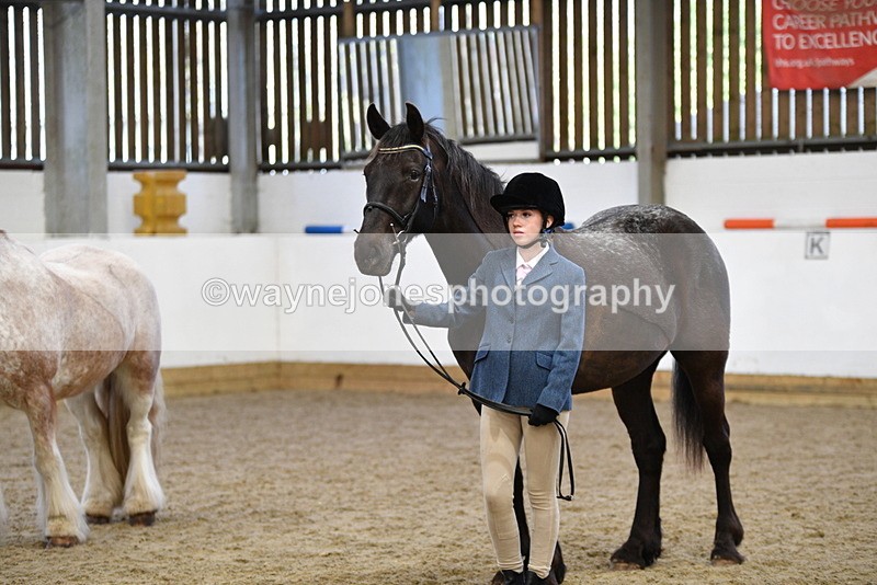 WJ5_5093 - Class 7 In hand coloured / odd coloured