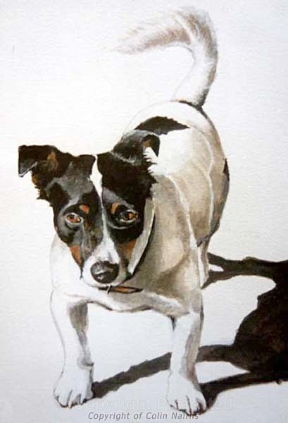 'Dinky the dog' - Commissioned Work