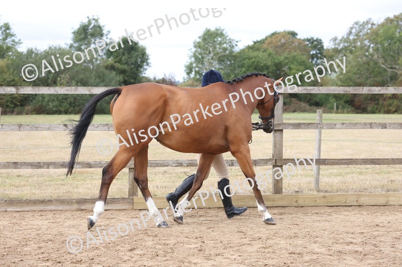 20260831-1912 - Class 5 - Retraining of Racehorses