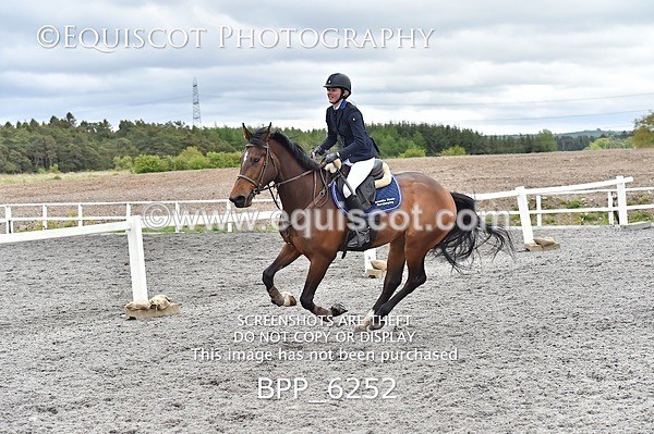 BPP_6252 - SUN CLASS 37 BR NOVICE/90CM