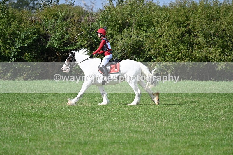 WJ7_8951 - Time 11:10 to 11:53