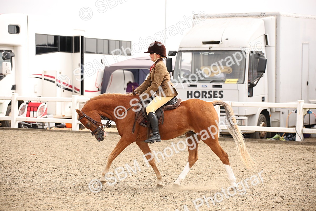 SBM_12632 - Class 405b - M&M Working Veteran 50cm 20+