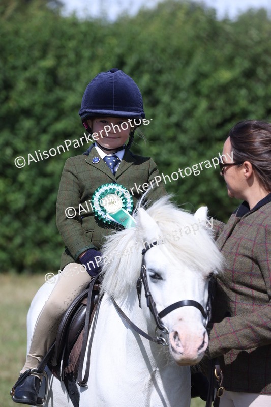 20250831-2563 - Class 16 - Family Pony