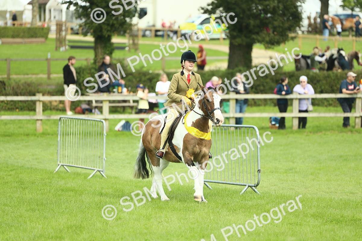 SBM_42261 - S29 - Novice & Newcomers Working Hunter Pony