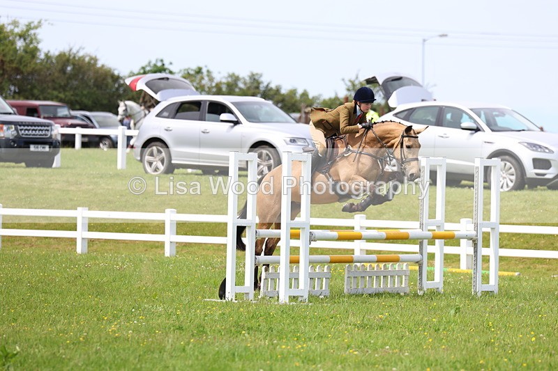 3E7A1437 - Class 13: Senior British Novice/90cm open