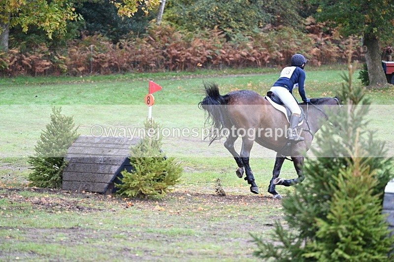 WJ7_4384 - Time 11:49 to 12:11