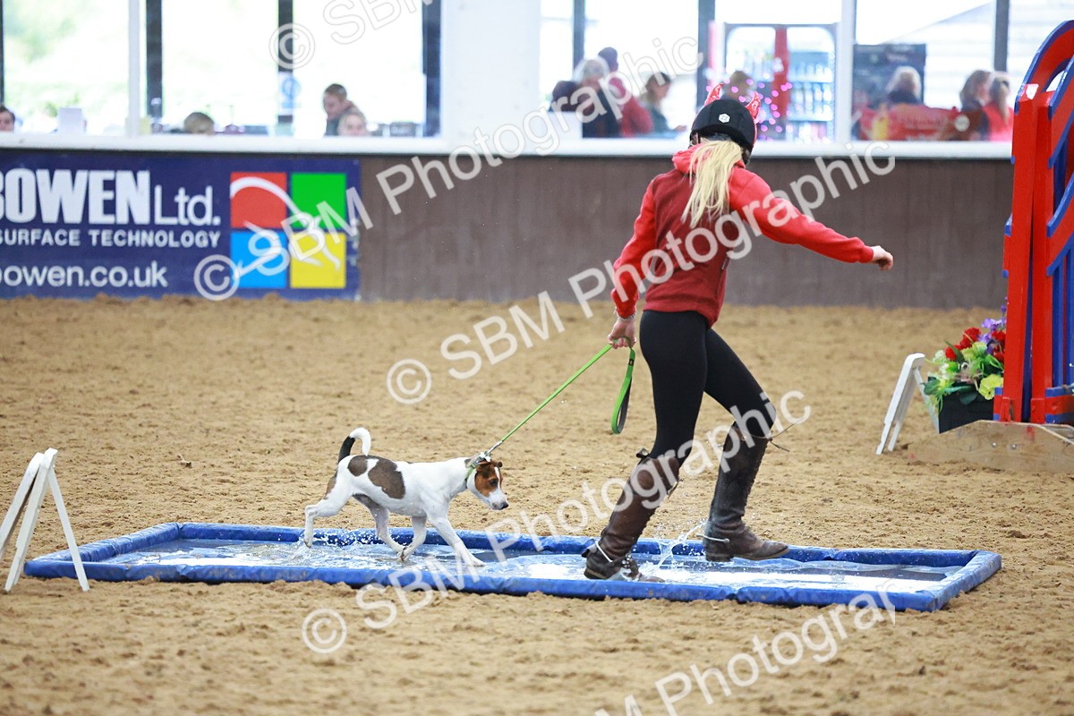 SBM_002128 - Class 3 - Horse & Hound (60cm)