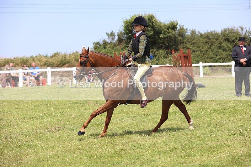 JPP_2569 - Class 21: Working Hunter 60cm