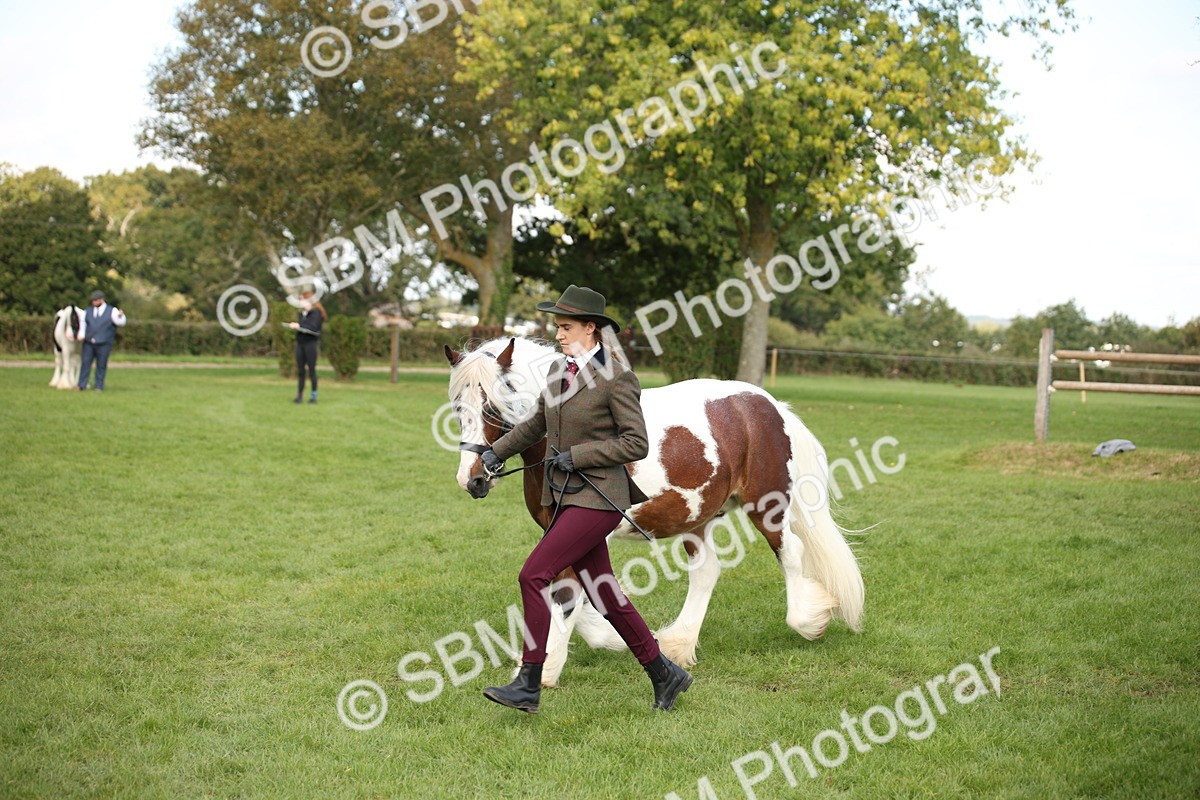 SBM_62282 - S55 - Traditional Cob In Hand
