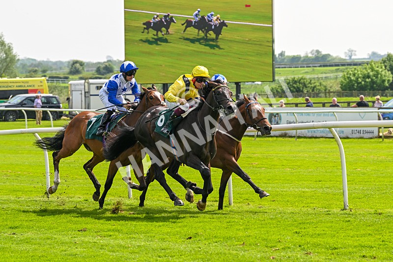 130524-Race 2-Monfrid-0111 - Race 2