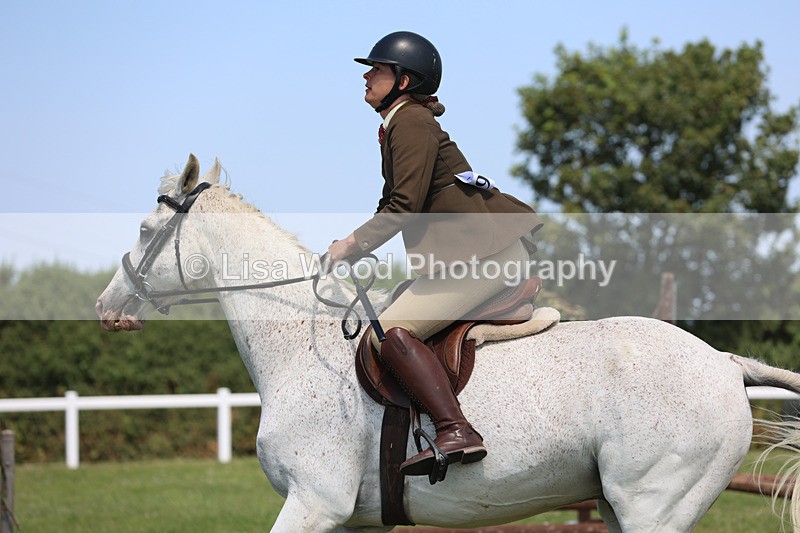 JPP_2689 - Class 21: Working Hunter 60cm