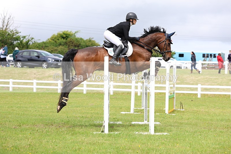 3E7A7092 - Class 12: Senior Foxhunter/1.20 open