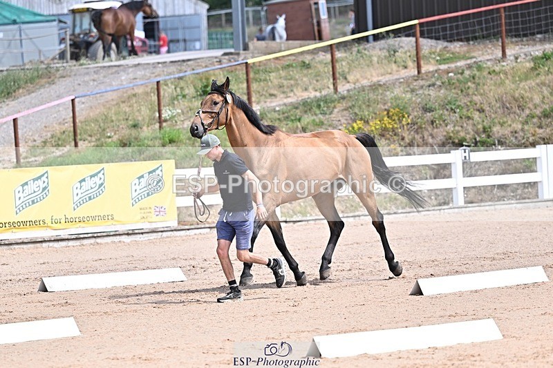 250716-124236-00134 - Trot Up 12.30 to 1.30