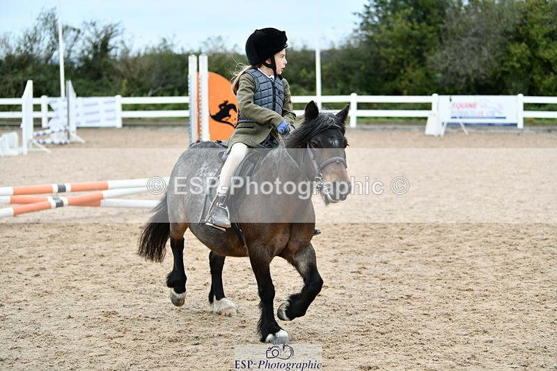 241013B-113224-00682 - Cls 2a 40cm Assisted