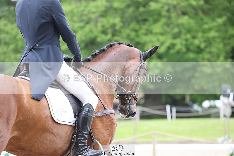 240523-103900-03363 - 213-GLOBAL_KARINA-Hector_Payne