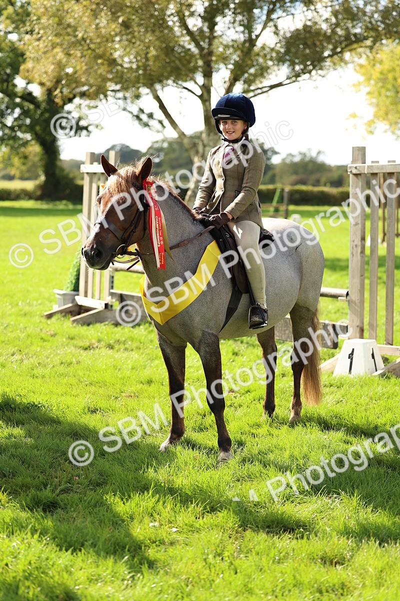 SBM_46414 - Working Hunter Pony Supreme Championship