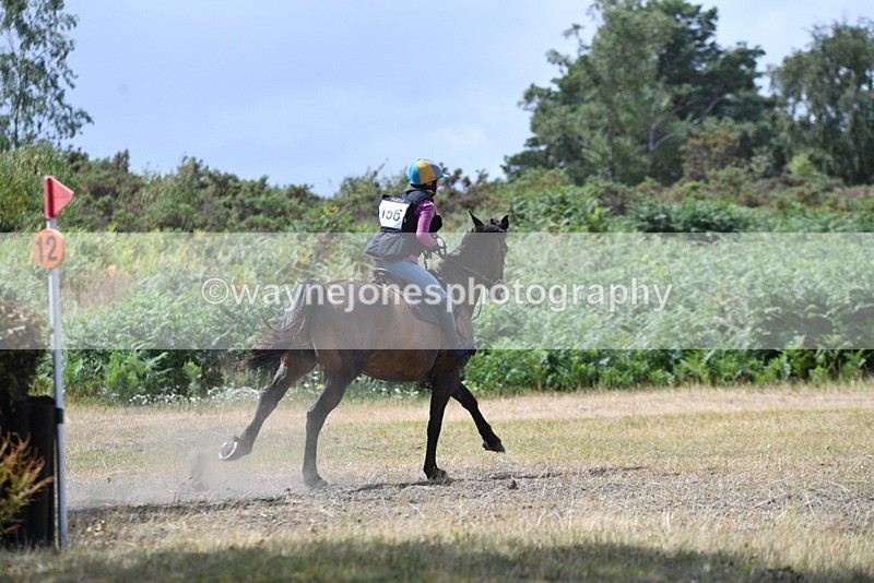 WJ5_2013 - XC Time 12:56 to 13:21