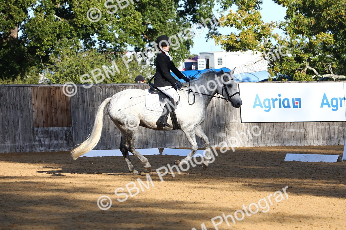 SBM_14303 - D31 - Grand Tour PYO Open .