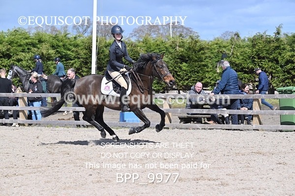 BPP_9977 - CLASS 19 SUN Senior British Novice/ 90cm Open