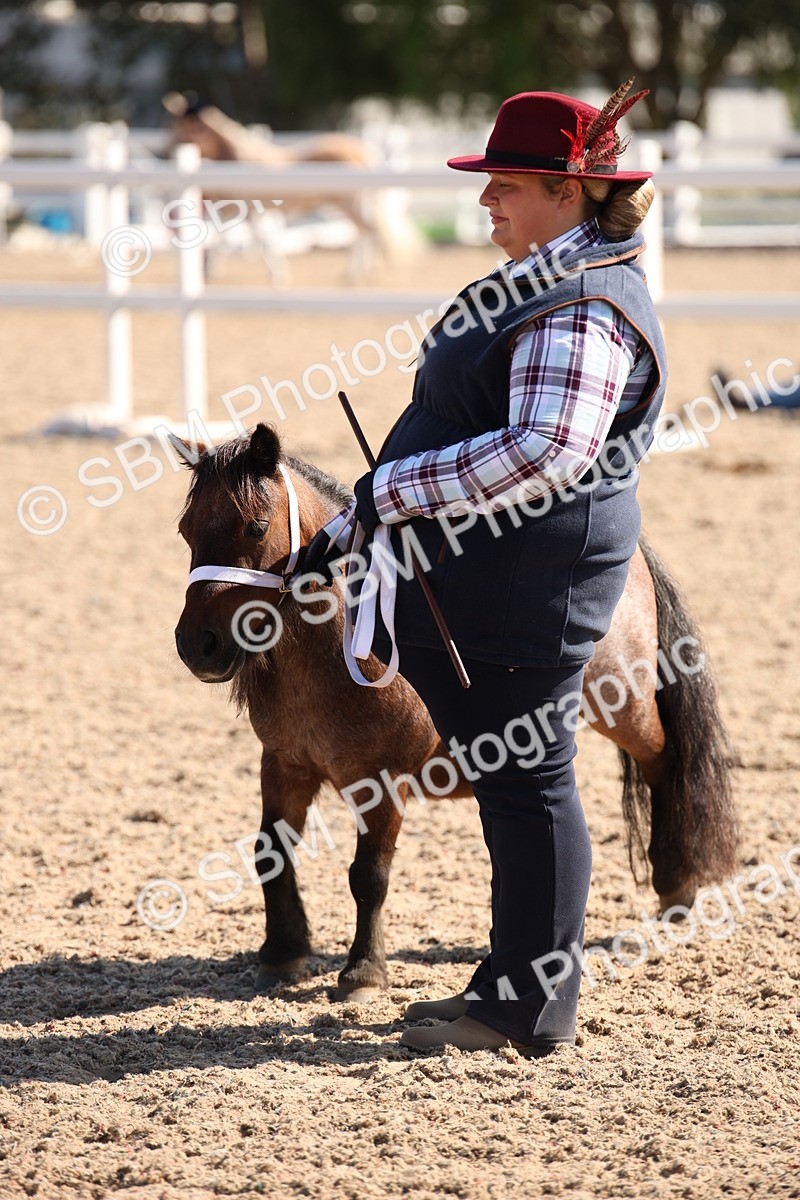 SBM_02815 - Class 16 IH M&M Wildcard