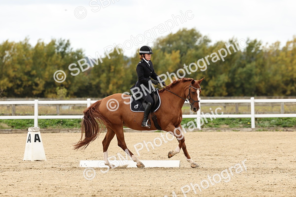 SBM_004563 - Class 69 - Novice 2