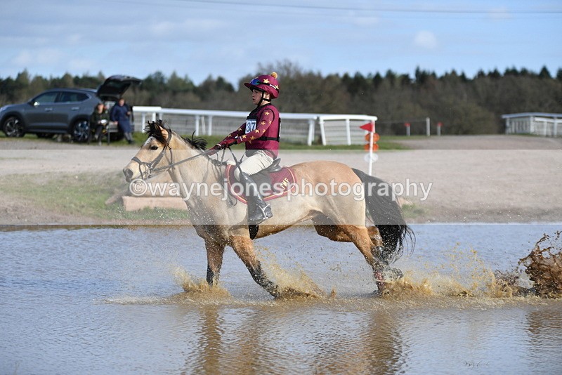 WJ5_9256 - Time 15:32 to 16:01