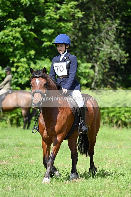 WJ7_1190 - Class 11 Condition & Turnout