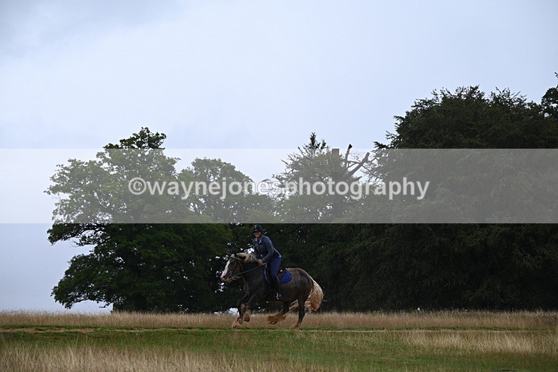 DSC_3288 - Time at Statue 12:59 to 13:49