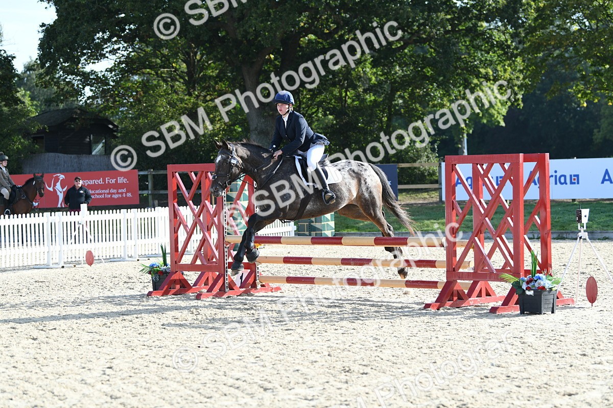 SBM_60490 - j25 - Junior Horse 80cm Championship